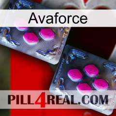 Avaforce 01